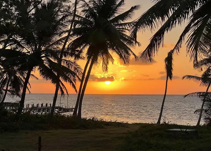 White Sands Cove L01-garden View 1 Bedroom By Floreo San Pedro (Ambergris Caye)
