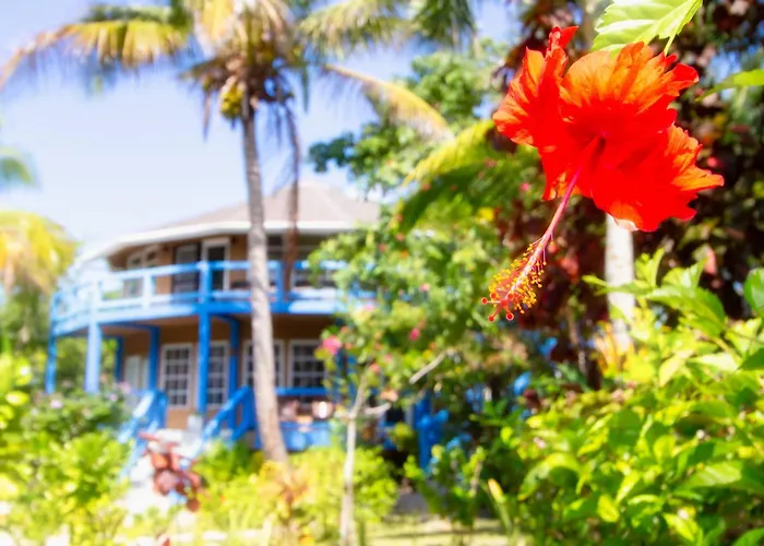 White Sands Cove L01-garden View 1 Bedroom By Floreo 3* San Pedro (Ambergris Caye)