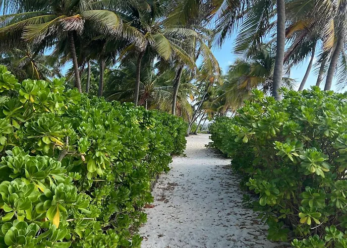 Apartahotel White Sands Cove L01-garden View 1 Bedroom By Floreo 3*